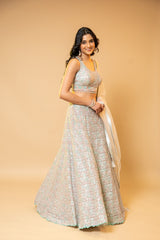 Sea Green Net Lehenga Set With Net Dupatta