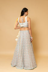 Sea Green Net Lehenga Set With Net Dupatta