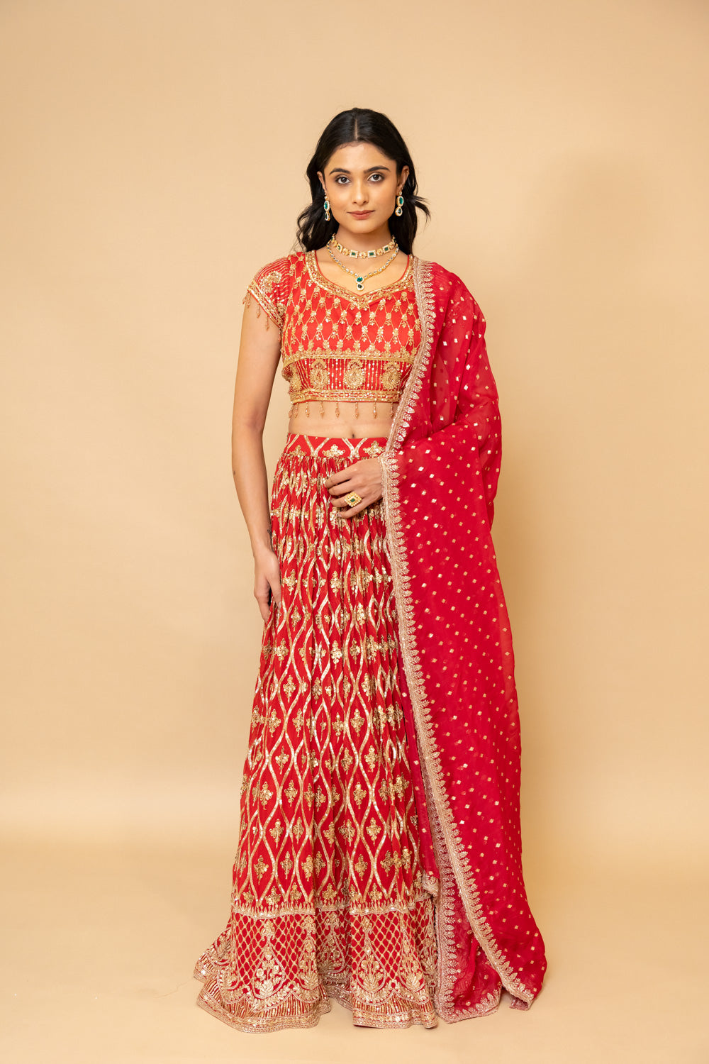 Maroon Georgette Lehenga Set With Organza Dupatta