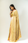 Shine Bright In Mango Gold Banarasi Silk Saree With Unstitched Blouse