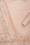 Timeless Beauty Tussar Organza Unstitched Salwar Suit With Georgette Dupatta