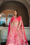 Rani Raw Silk Lehenga Set And Net Dupatta With Readymade Blouse