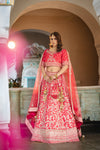 Rani Raw Silk Lehenga Set And Net Dupatta With Readymade Blouse
