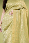 Pista Khaddi Georgette Saree With Unstitched Blouse
