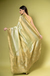 Pista Khaddi Georgette Saree With Unstitched Blouse (Ft:-Isha Multani)