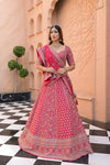 Timeless Elegance Rani Shimmer Lehenga Set And Net - Georgette Dupatta With Readymade Blouse