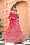 Timeless Elegance Rani Shimmer Lehenga Set And Net - Georgette Dupatta With Readymade Blouse