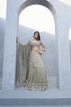 Draped in Elegance Grey Khaddi Georgette Lehenga Set And Georgette Dupatta With Readymade Blouse