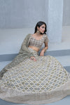 Draped in Elegance Grey Khaddi Georgette Lehenga Set And Georgette Dupatta With Readymade Blouse