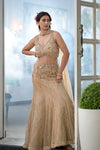 Timeless Beauty Tussar Net Lehenga Set And Organza Dupatta With Readymade Blouse