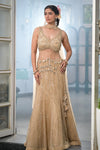 Timeless Beauty Tussar Net Lehenga Set And Organza Dupatta With Readymade Blouse