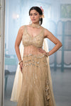 Timeless Beauty Tussar Net Lehenga Set And Organza Dupatta With Readymade Blouse