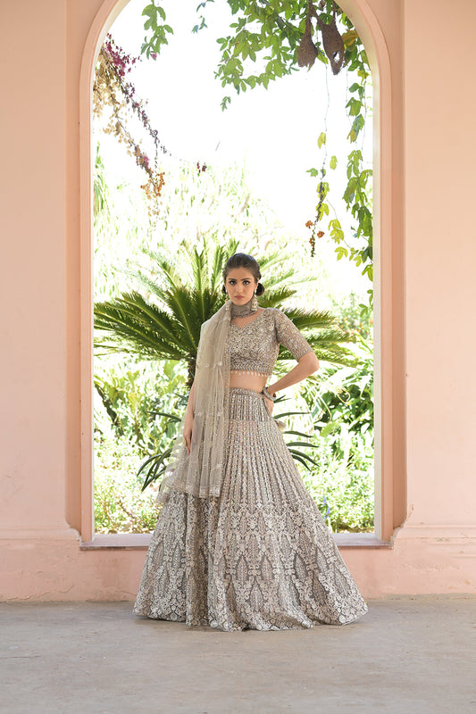 Chikoo Net Lehenga Set And Net Dupatta With Readymade Blouse