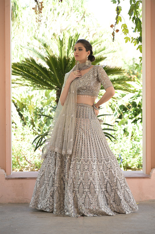 Chikoo Net Lehenga Set And Net Dupatta With Readymade Blouse