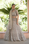Chikoo Net Lehenga Set And Net Dupatta With Readymade Blouse