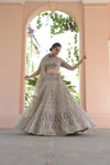 Chikoo Net Lehenga Set And Net Dupatta With Readymade Blouse