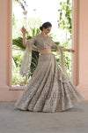 Chikoo Net Lehenga Set And Net Dupatta With Readymade Blouse