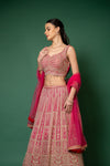 Rani Swarovski, Zari, Threadwork, Embroidery, Bead, Sequence, Mirror Sheet Georgette Lehenga Set With Readymade Blouse