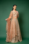 Peach Zari, Zarkan & Sequence Net Lehenga Set With Readymade Blouse