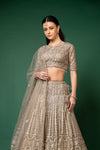 Chikoo Swarovski, Mirror, Threadwork, Embroidery, Bead, Sequence Net Lehenga Set With Readymade Blouse