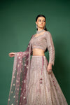 Wine Swarovski, Mirror, Zari, Threadwork, Embroidery, Bead, Sequence Net Lehenga Set With Readymade Blouse