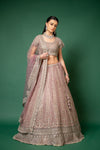 Onion Zari, Zarkan, Threadwork, Embroidered, Bead, Sequence Net Lehenga Set With Readymade Blouse