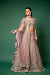 Onion Zari, Zarkan, Threadwork, Embroidered, Bead, Sequence Net Lehenga Set With Readymade Blouse