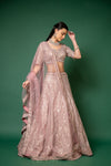 Gajari Swarovski, Threadwork, Embroidered, Mirror, Bead, Sequence Net Lehenga Set With Readymade Blouse