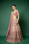 Gajari Threadwork, Embroidery, Zari, Zarkan, Mirror & Bead, Sequence Net Lehenga Set With Readymade Blouse