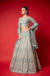 Tea-green Swarovski, Mirror, Zari, Threadwork, Embroidery & Bead Sequence Net Lehenga Set With Readymade Blouse