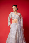 Mauve Threadwork, Embroidery, Mirror, Bead Work, Sequence Net Lehenga Set With Readymade Blouse