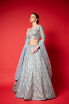 Sky Blue Swarovski, Threadwork, Embroidered, Mirror, Bead, Sequence Net Lehenga Set With Readymade Blouse