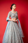 Sky Blue Swarovski, Threadwork, Embroidered, Mirror, Bead, Sequence Net Lehenga Set With Readymade Blouse