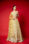 Pista Swarovski, Mirror, Threadwork, Embroidery & Bead Sequence Net lehenga Set With Readymade Blouse