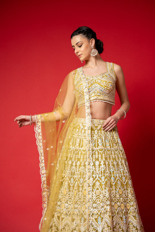 Pista Swarovski, Mirror, Threadwork, Embroidery & Bead Sequence Net lehenga Set With Readymade Blouse