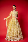 Pista Swarovski, Mirror, Threadwork, Embroidery & Bead Sequence Net lehenga Set With Readymade Blouse