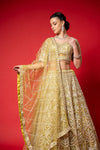 Pista Swarovski, Mirror, Threadwork, Embroidery, Bead & Sequence Net Lehenga Set With Readymade Blouse