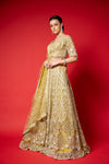 Pista Swarovski, Mirror, Threadwork, Embroidery, Bead & Sequence Net Lehenga Set With Readymade Blouse