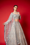 Sky Blue Swarovski, Mirror, Zari, Threadwork, Embroidery & Bead Sequence Net Lehenga Set With Readymade Blouse