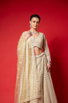 Pista Threadwork, Embroidery, Mirror, Bead Work, Sequence Net Lehenga Set With Readymade Blouse