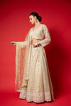 Pista Threadwork, Embroidery, Mirror, Bead Work, Sequence Net Lehenga Set With Readymade Blouse