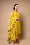 Parrot Shimmer Readymade Suit And Pant With Tissue Dupatta