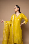 Parrot Shimmer Readymade Suit And Pant With Tissue Dupatta