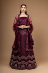 Garnet Zari Threadwork Embroidery & Sequence Net Lehenga Set With Unstitched Blouse