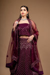 Garnet Zari Threadwork Embroidery & Sequence Net Lehenga Set With Unstitched Blouse