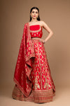 Rani Banarasi Woven, Zari Threadwork, Embroidery & Gotta, Sequence Raw Silk Lehenga Set With Unstitched Blouse