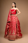 Rani Banarasi Woven, Zari Threadwork, Embroidery & Gotta, Sequence Raw Silk Lehenga Set With Unstitched Blouse