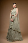 Olive Zari Threadwork, Embroidered, Sequence Net Lehenga Set With Unstitched Blouse