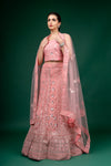 Peach Net Lehenga Set And Net Dupatta With Unstitched Blouse