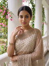 White Net Saree - Close Up